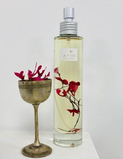 Huile de corps Pompe 100ml