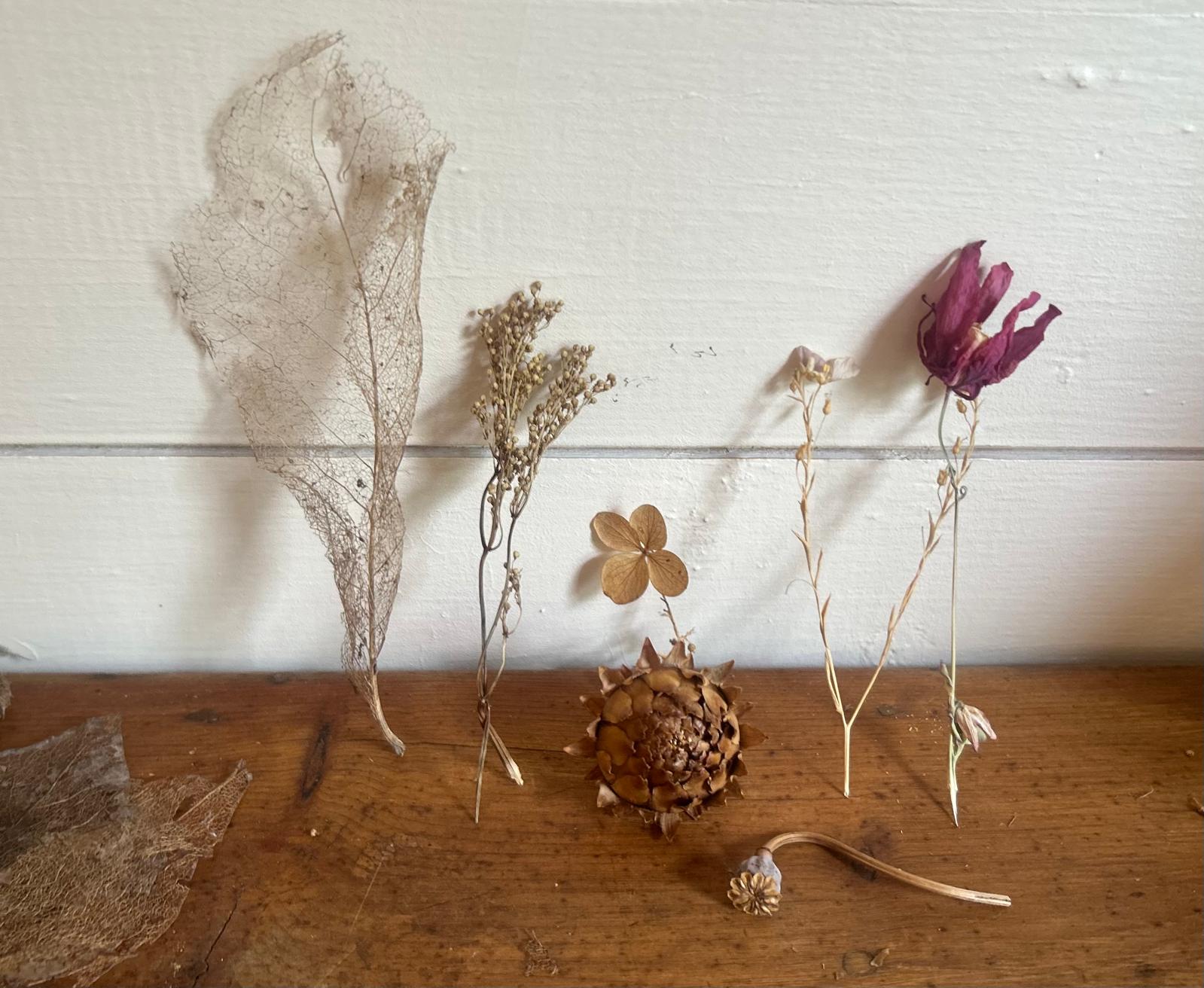fleurs séchées